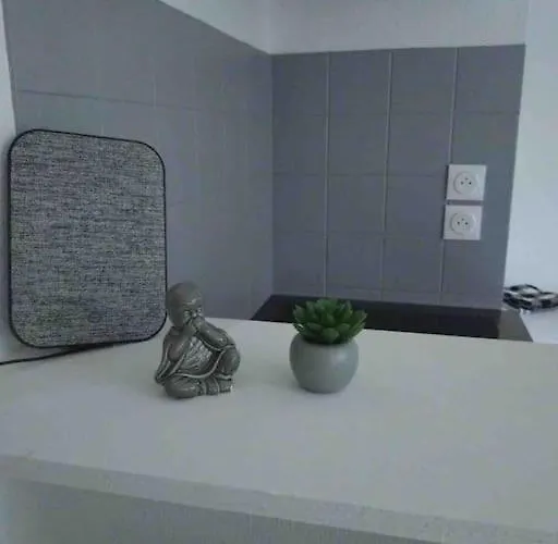 Апартаменты Muse 4 Couchages *